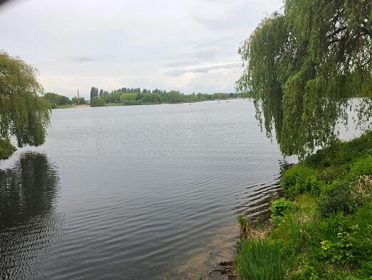 20260503_135928 null