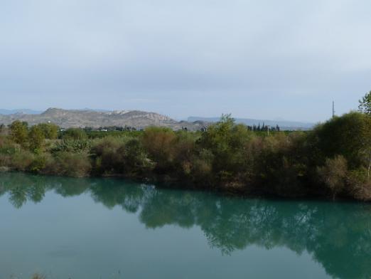 P1010543