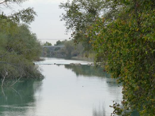 P1010552