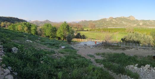 IMG_2366_stitch