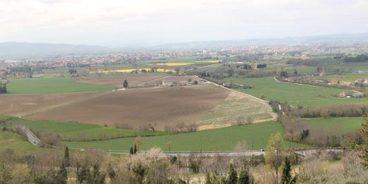 IMG_5473_stitch