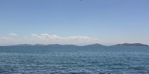 IMG_0609_stitch