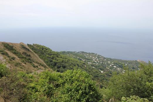 IMG_2643