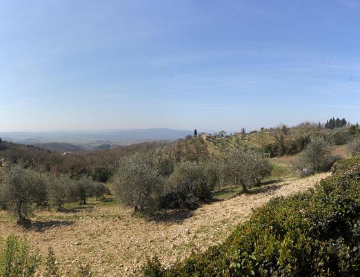 IMG_5407_stitch