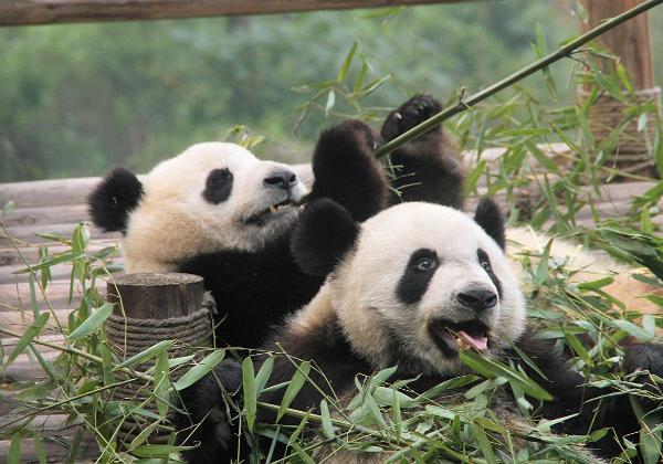 Chengdu