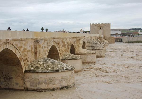 Cordoba