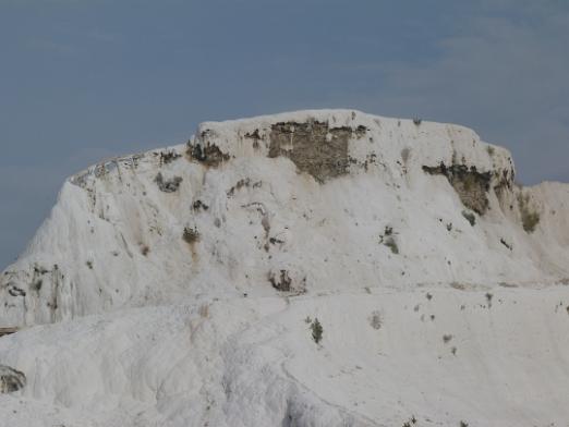 P1010491