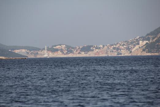 IMG_6771