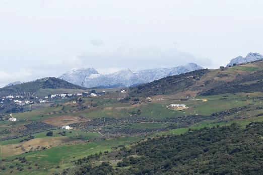 IMG_0194