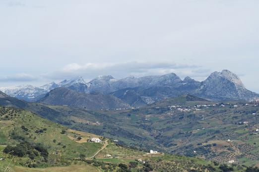 IMG_0201