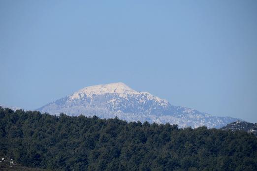 IMG_1726