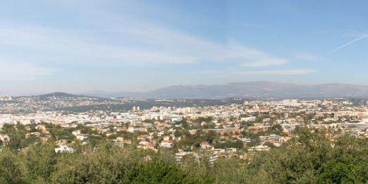 IMG_6999p
