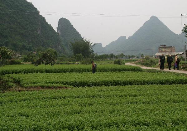 Ländliches China