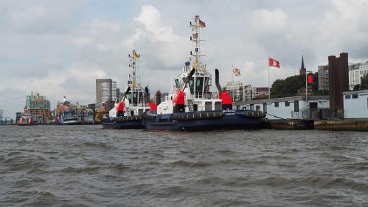 P8251552