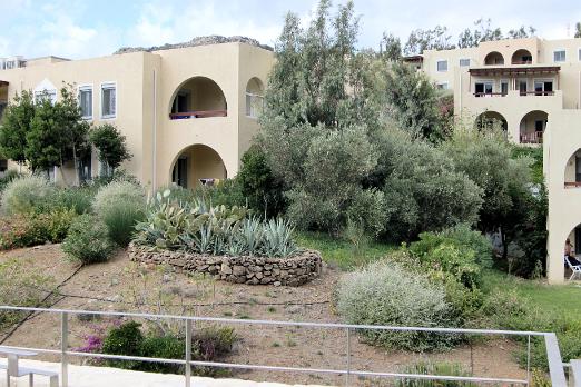 CIMG2434