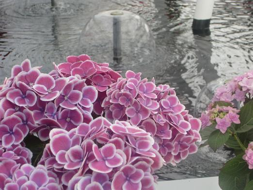 CIMG0484