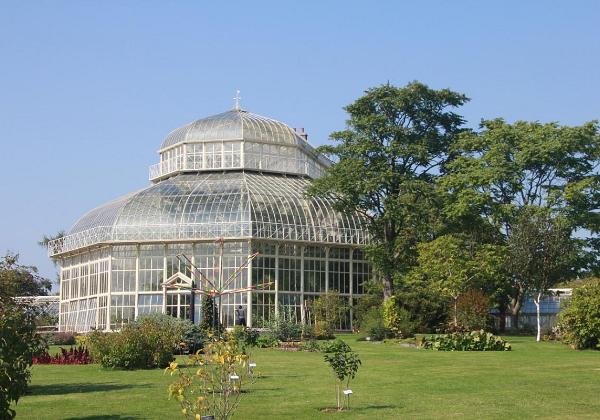 Botanischer Garten (Dublin)