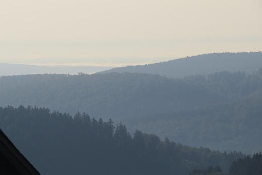 IMG_3202
