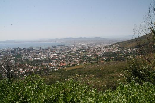 IMG_7835