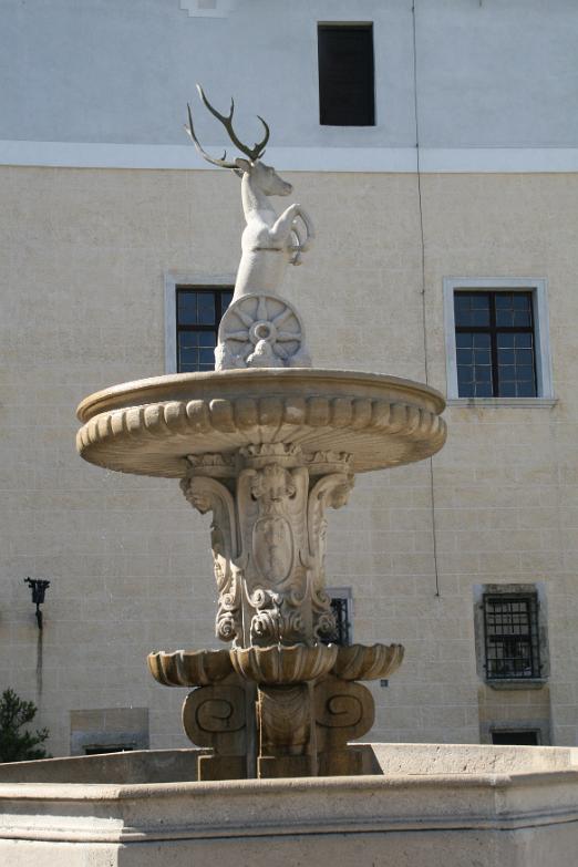 IMG_1756