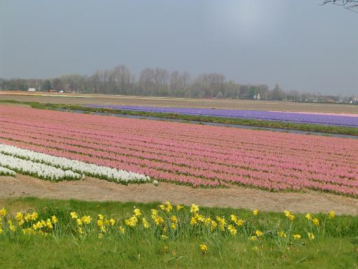 CIMG0460