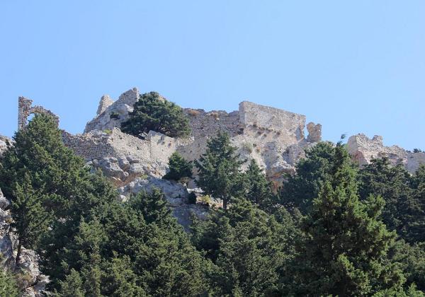 Bergkos
