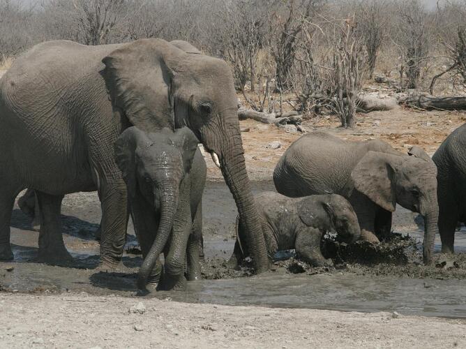 Namibia