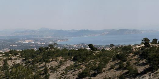 IMG_0095p