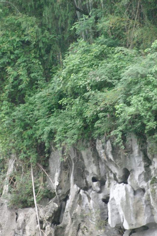 CIMG5616