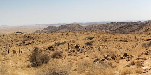 IMG_6568p