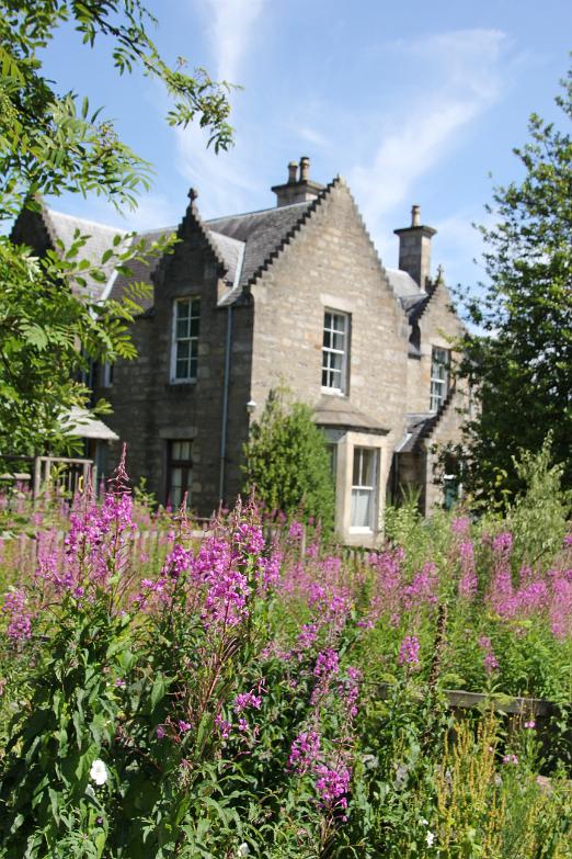 IMG_1206