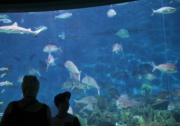 Melbourne Aquarium