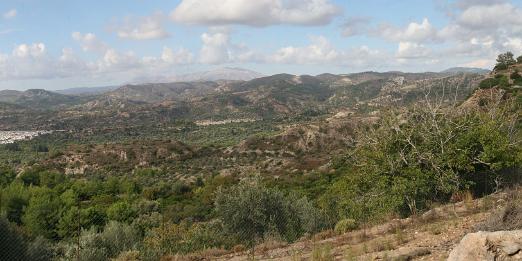 IMG_8358p