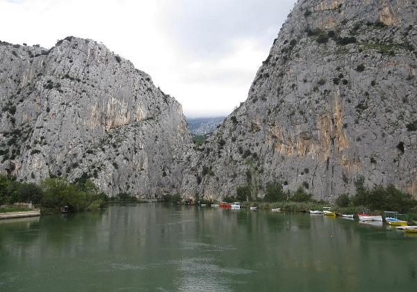 Omis