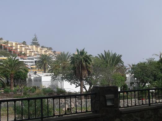 CIMG1450