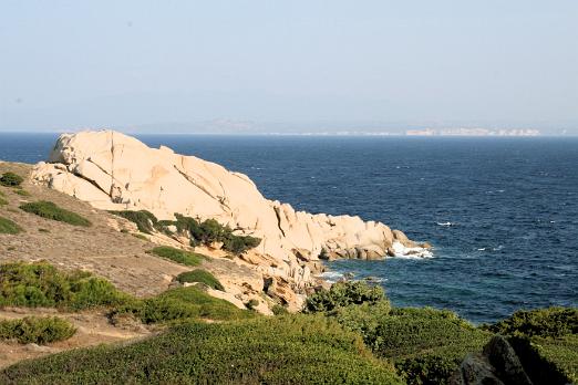 IMG_2538