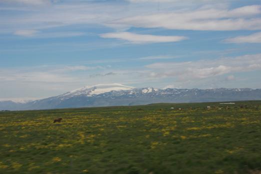 IMG_7194
