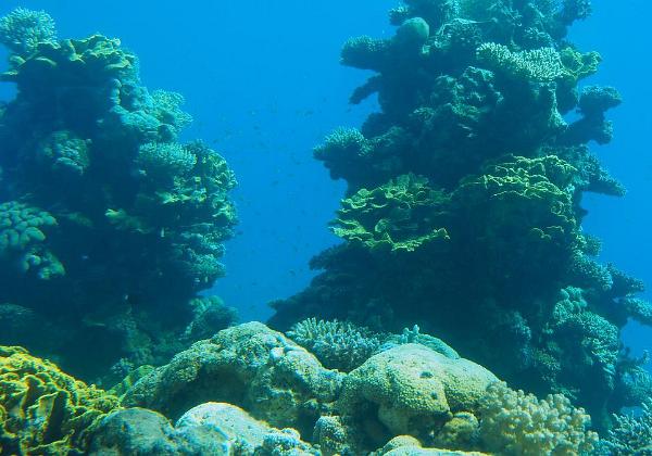 Eilat