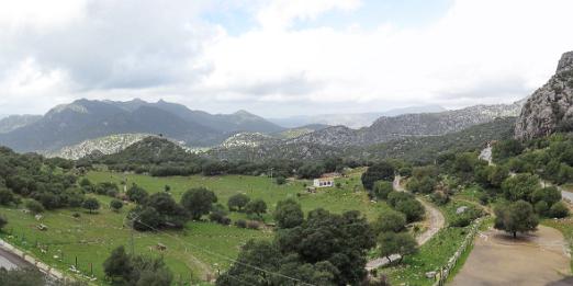 IMG_0399_stitch