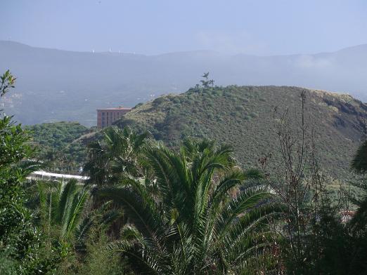 CIMG1125