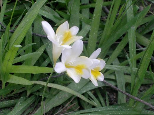 CIMG0227