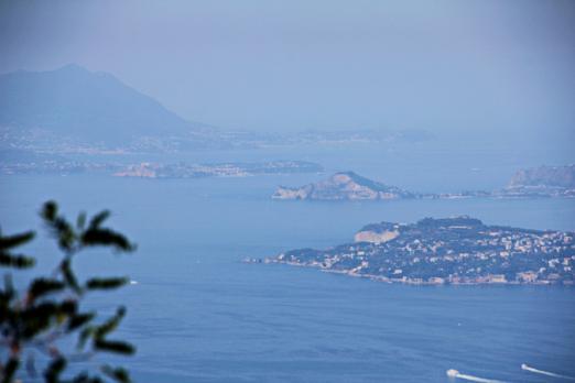 IMG_2219