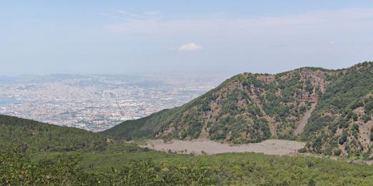 IMG_2225_p
