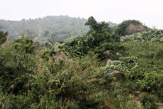 IMG_5450
