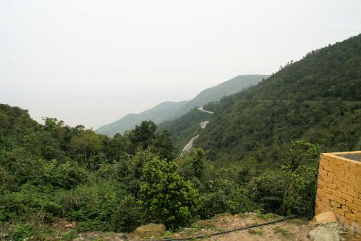 IMG_5456