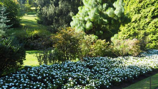 P9042169