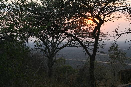 IMG_7788