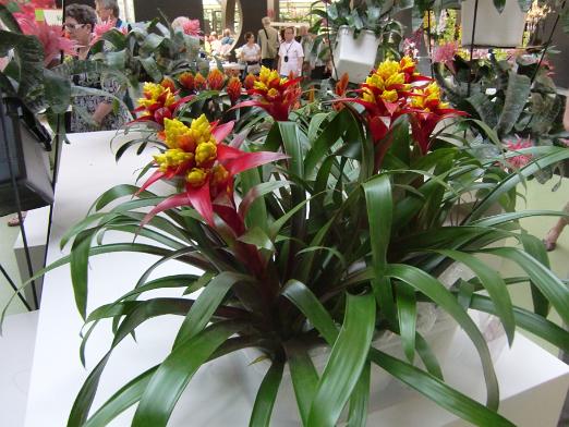 CIMG0559