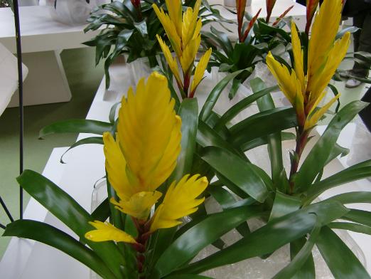 CIMG0564