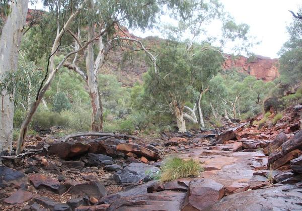 Kings Canyon, Alice Springa